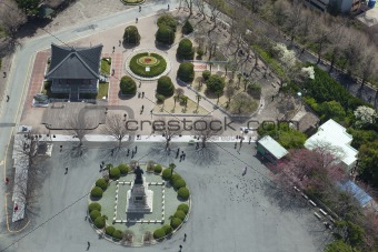  center of the city / aerial view