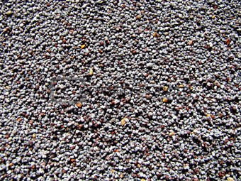 Poppy Seed Background 