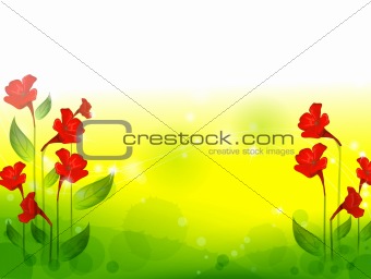 red flower with lawn