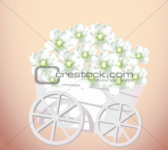 pushcart and flower