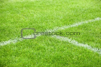 Sports field with white markings