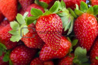 Strawberries background