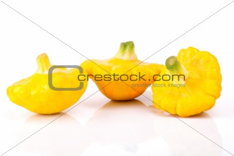 Baby Yellow Squash Group