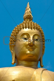 Biggest image of buddha(Close up)
