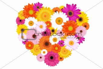 Heart Made Of Colorful Daisies