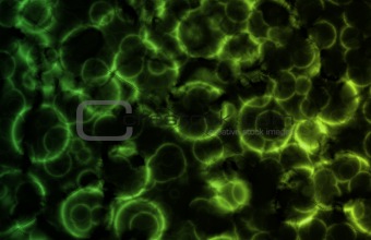Green Microscopic Cell Organisms
