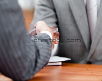 Close-up of a handshake between two differents businessmen