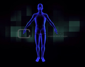 3d human scanner