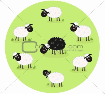 One black sheep is lonely in the middle of white sheep family