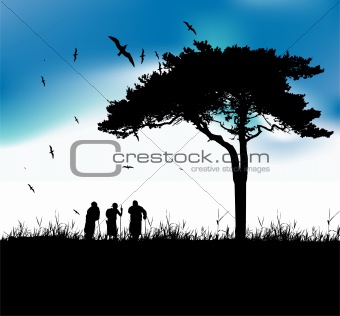 Three old people walk on nature together