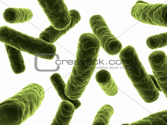 bacteria illustration