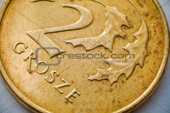 Close-up of a coin