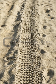 Tire track in the sand.