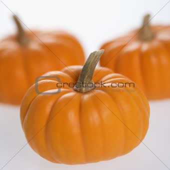 Three pumpkins on white.