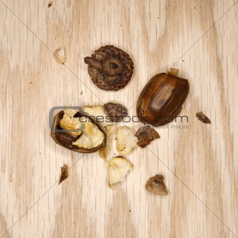 Crushed acorn. 