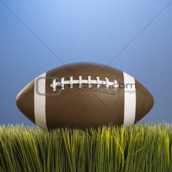 Football resting in grass.