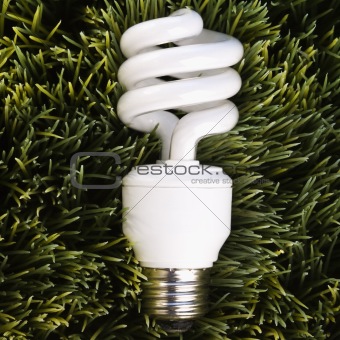 Energy saving light bulb laying in grass.