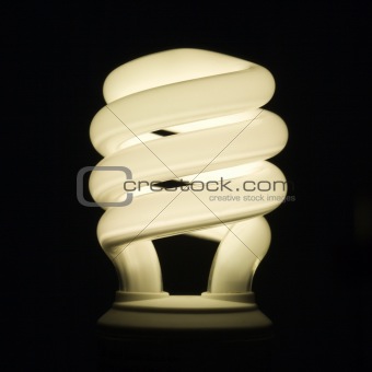 Illuminated energy saving light bulb.