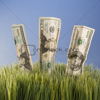 Three twenty dollar bill placed in grass.
