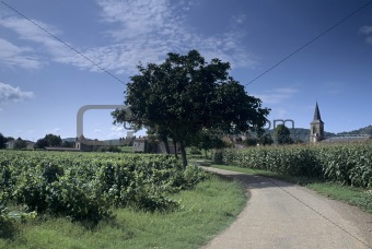 road through farmland