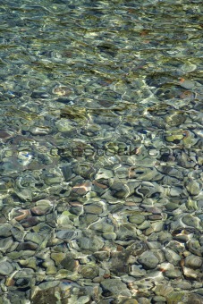 Rocks seen through clear water.