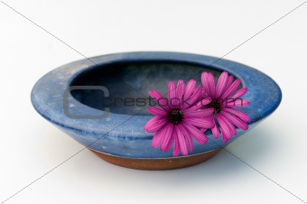Bowl and flowers
