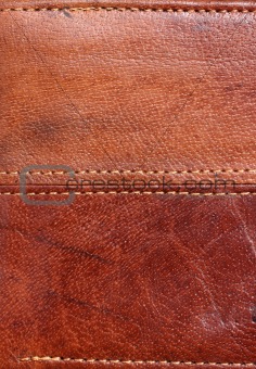 Brown purse 