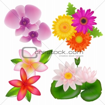 Set Of Flowers