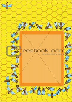 bee& honeycombs