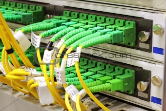 SC connectors in patch panel