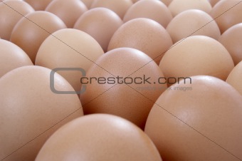 eggs open