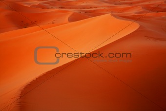 Desert lines