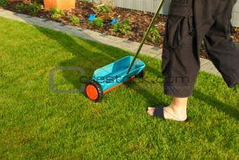 Gardening - fertilizing lawn
