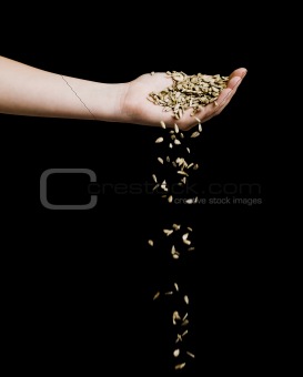 Hand and Grain