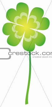 Green Clover with four leaves