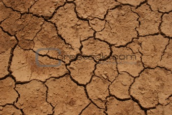 Aridity, parched land after a hot summer