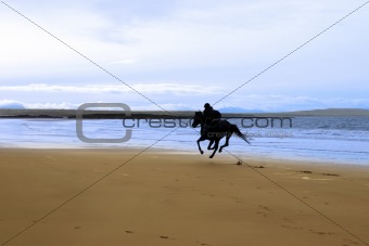 horse and rider galloping along the coast