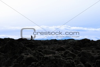 man alone walking among rocks