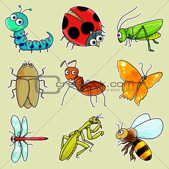 9 insect icon
