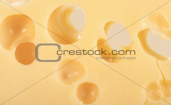Abstract background of yellow cheese