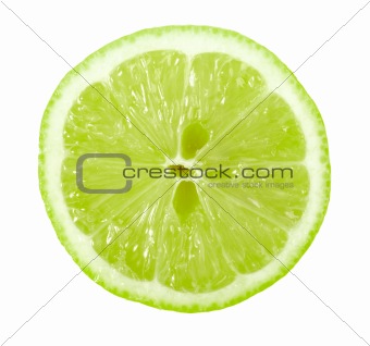 Single cross section of lime