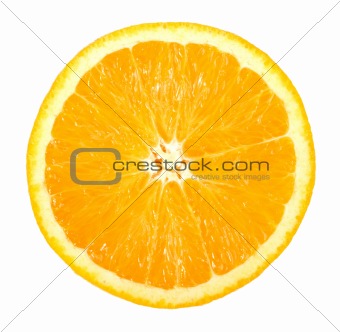 Single cross section of orange