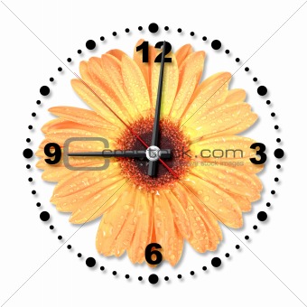 Single orange flower as a office clock