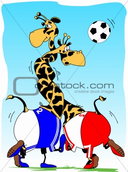 giraffe Football