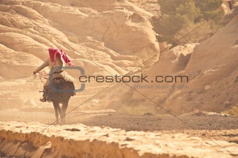 arab riding horse