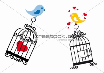 birds in love with birdcage
