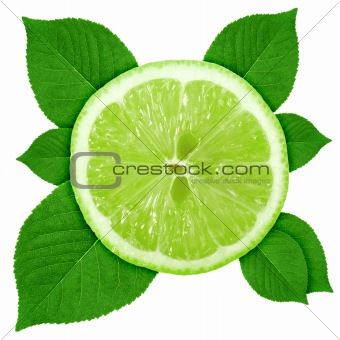 Single cross section of lime with green leaf