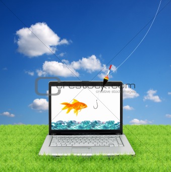 Goldfish in a laptop
