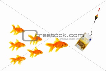 Goldfishes and money