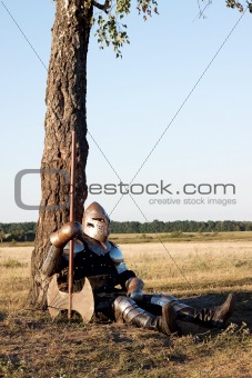 Medieval knight 
